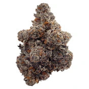 Eastcann Gastro Pop 3.5g Dried Flower