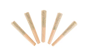Jamaican Pearl Pre-Rolls - 0.5g x 5