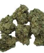 Mandarin Sunrise Sativa Flower - 3.5g