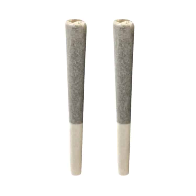 Thunder Buddies 2 x 1g