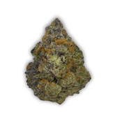 Unicorn Poop *Rare Find*