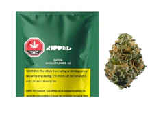 Ripped Sativa Dried Flower 1G