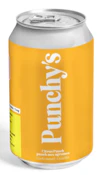 Citrus Punch - 355ml