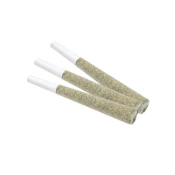Zesty Parm 3pk JOINTS .5g