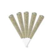 Galactic Guava 5pk JOINTS .5g