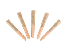Jamaican Pearl Pre-rolls - 5 x 0.5g
