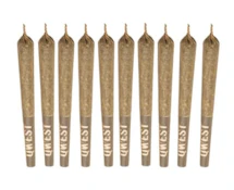 Qwest 35's Lazer Jet 10 x 0.35g Pre-Rolls - Qwest