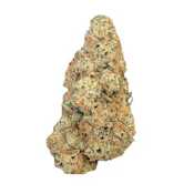BC Organic Lemolada 28g