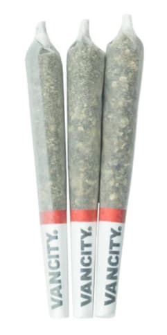 RESERVE SATIVA  - 3 x 0.5g