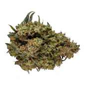 CBD RUNTZ - 3.5