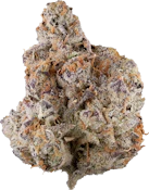 3rd Coast Genetics - Black Truffle | 14g
