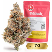 Raspberry Runtz 7g Dried Flower