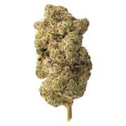 Lemon Gelato 28g Dried Flower