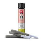 White Peach Pre-Rolls - 0.5g x 3