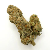 White Ferrari 3.5g Dried Flower