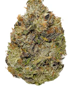 Salt Spring Magic Timmy's OG Shark 3.5g