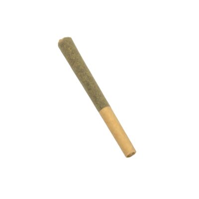 Ripped - Indica Skunk Berry 1 x 0.5g Pre-Roll