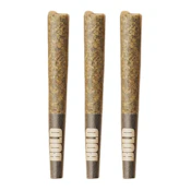 Root Beer Float 0.5g - 3pk