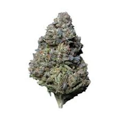 Kush Mints (28g) - Weed Fairy