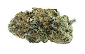 Grass Monkeys - Seasonal Stash (Super Lemon Dragon) 14g Dried Flower