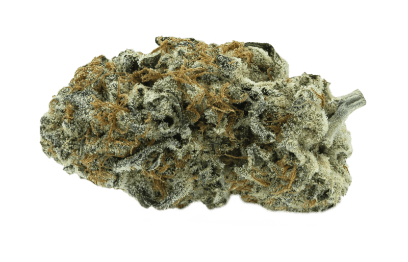 Orange Squeeze 28g Dried Flower