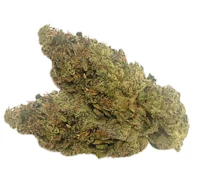 Cadillac Rainbow - 14g