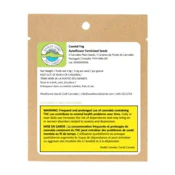 COASTAL FOG Auto-Feminized Seeds | 4 pack