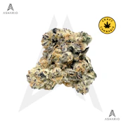 Exclusives | 7g