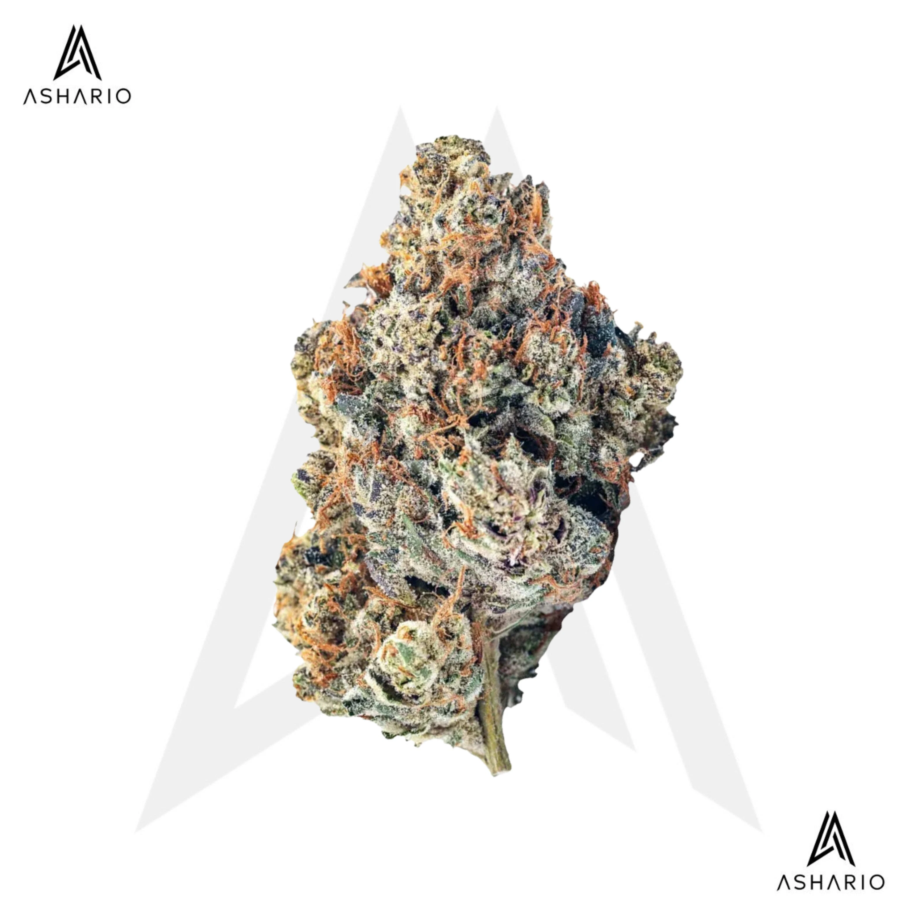 BLKMKT - Yuck Mouth | 14g Main Image
