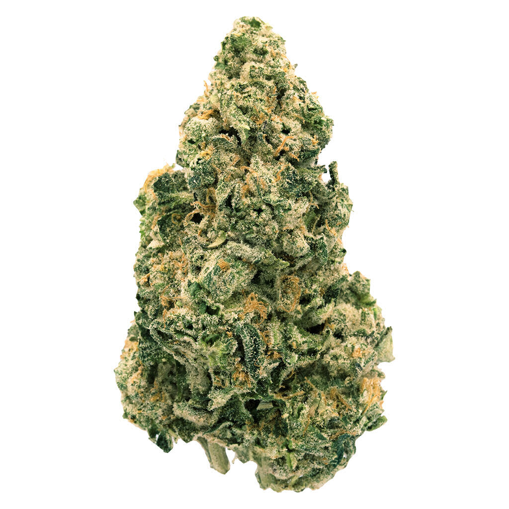 GALACTIC JACK - 7