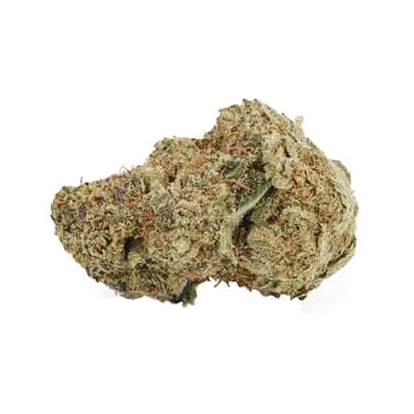 Champagne Supernova 14g