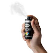 Big Fun Blinksy Spray Can Style 510 Battery