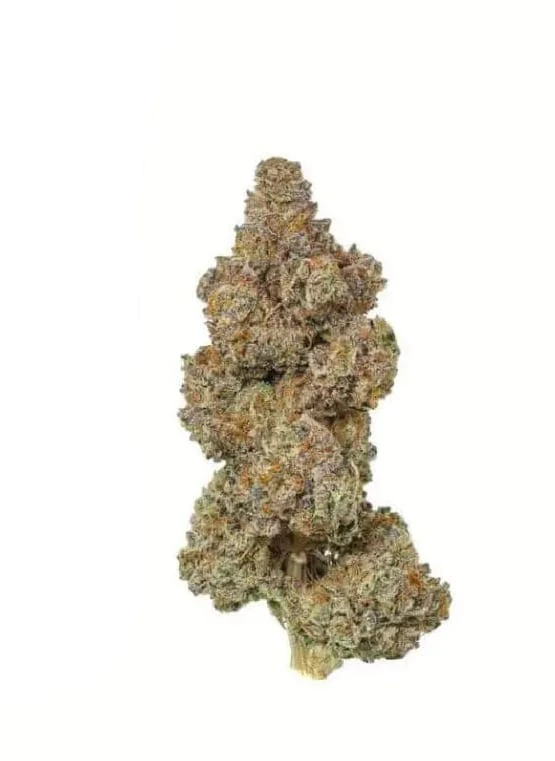 HeadStone Cannabis - Ghoul Fuel (Lemon Drop) 3.5g Dried Flower Main Image
