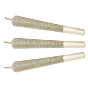 TKO 1 x 1g Pre-Rolls - Sitka