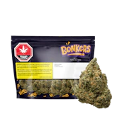 Bonkers Dream Catcher - 28g