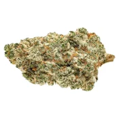 Tropicanna 7g Dried Flower by 1964