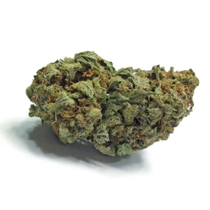 Salt Spring Magic - TIMMY'S OG SHARK - 3.5