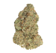 M.TAI X JUNGLE CAKE LTO - 3.5