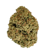 Maui Wowie 7g