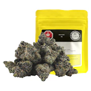Sin N' Juice (Sin City Juice X Orange Julius)14g Flower