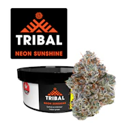 Tribal Neon Sunshine 3.5g Dried Flower