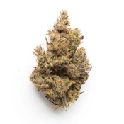 Cali Octane 14g Dried Flower