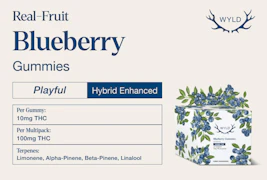 Multipack of 10, Wyld Blueberry THC Gummies (100mg THC)