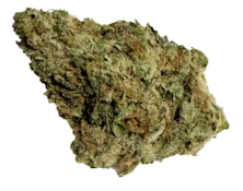 Zour Watermelon 3.5g Dried Flower