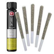 Dealr | SWEET JESUS PRE-ROLLS | 5 x 0.5g