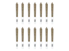 1964 | BLUE DREAM PRE-ROLLS | 14 x 0.5g