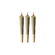3 x 0.5g Bermuda Triangle Pre-Rolls