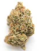 EMERALD HAZE 7G FLOWER