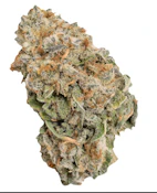 INDICA "GLOOKIES" 28G FLOWER