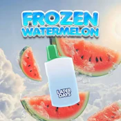 General Admission Frozen Watermelon Liquid Diamond 1g Disposable Vape